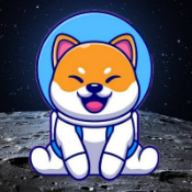 Baby Shiba Forever