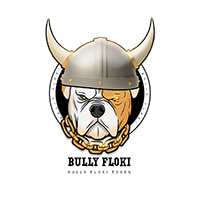BullyFloki Token