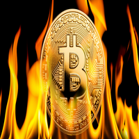 Bitcoin grow