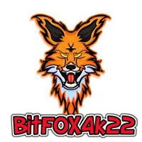 BitFOX4k22