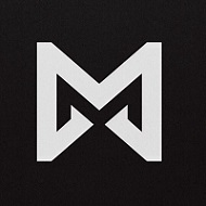 METASALARY TOKEN
