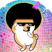 Disco Doge