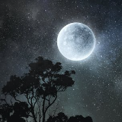 MOONSHARD