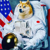 DogeKnightRise