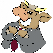 Bull Members Organization Token