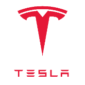 FLOKI TESLA