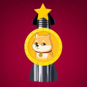 StarShipDoge