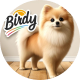 Birdy
