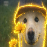 PAWSITIVE