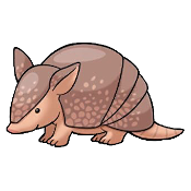 Friendly Armadillo