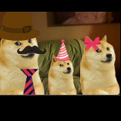 Dogecoin Family