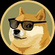 DOGE NETWORK
