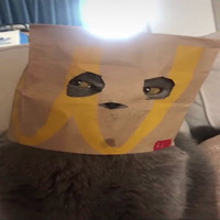 NOTCAT CTO