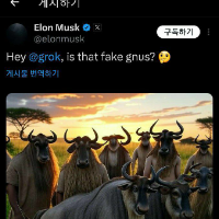 Real Gnus