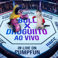 Bull x doguito🥊🏆