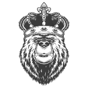 BEARKING