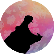 MoonHippo
