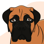 UncleMastiff