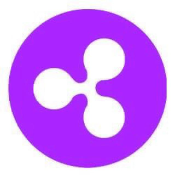 Mini XRP