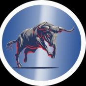 BullishToken