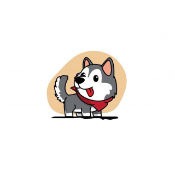 mini baby husky