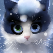 Turkish Angora