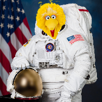 Bird Bird Challenger disaster
