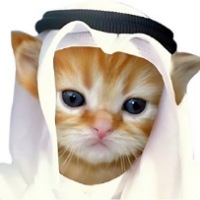 Habibi Token