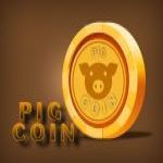 PigCoin