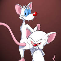 Pinky and the Brain