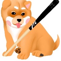 BabyDogeBonk.site