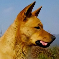 TuGou