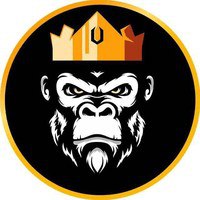 KING KONG BSC
