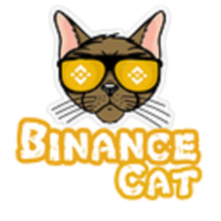 Binance Cat