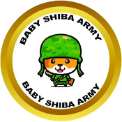Baby Shiba Army