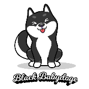 Black Baby Doge