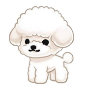 LittlePoodle