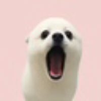 POPDOG