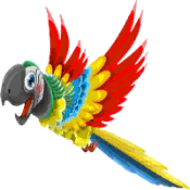 Magic Birds Token