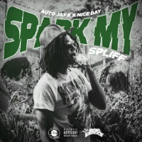 Spark My Spliff