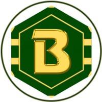 BitMan Token