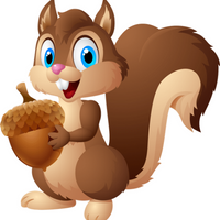 Cute Squirrels