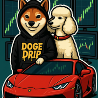 Dogedrip