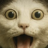 SMUGCAT