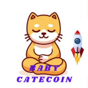 Baby CateCoin