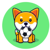 Minifootball