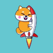 Sky Shiba