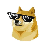SnoopDoge