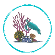 SafeReef