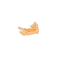 SMOLL CAT
